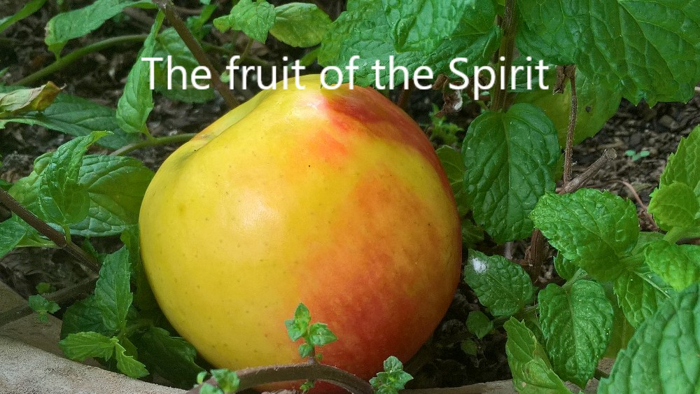 The fruit of the Spirit